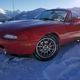 Illustration for article titled Miata vs. Wild
